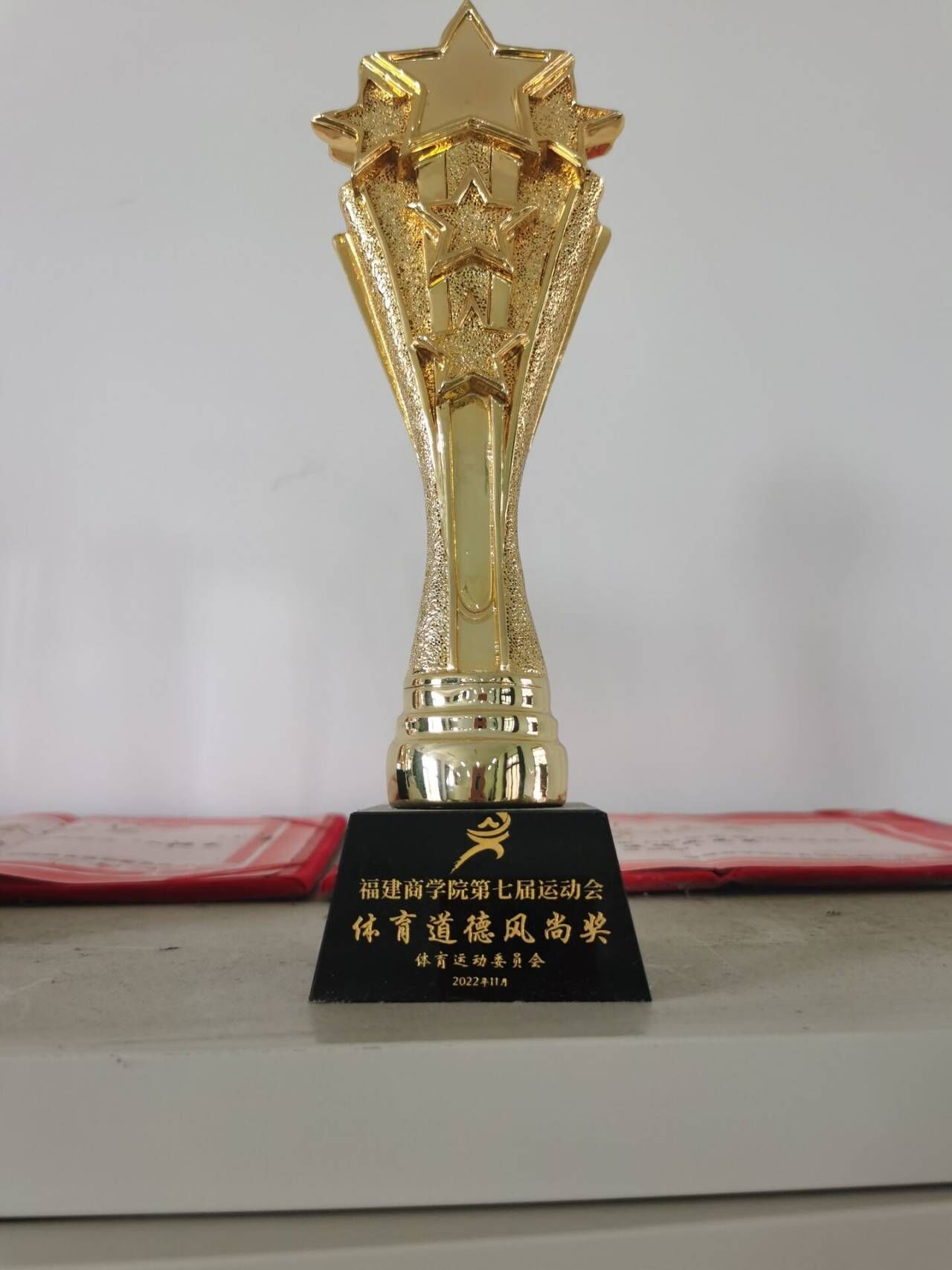 bat365中国官方网站第七届运动会体育道德风尚奖